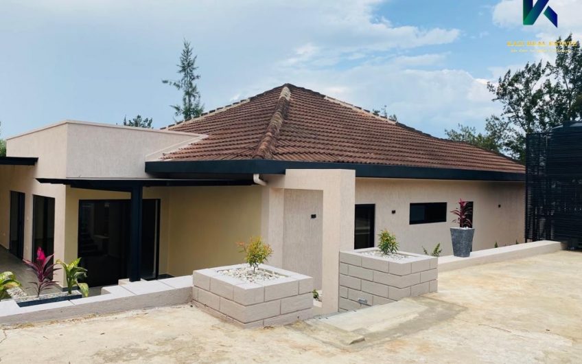 Nyarutarama Renovated Estate House