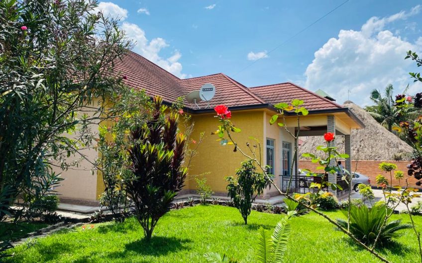 Gisenyi, Beautiful House for Rent