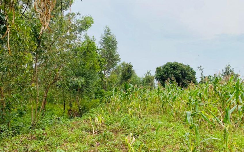 Affordable Land for Sale in Gahanga
