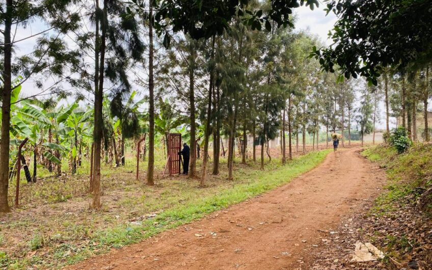 MUYUMBU PLOT FOR SALE