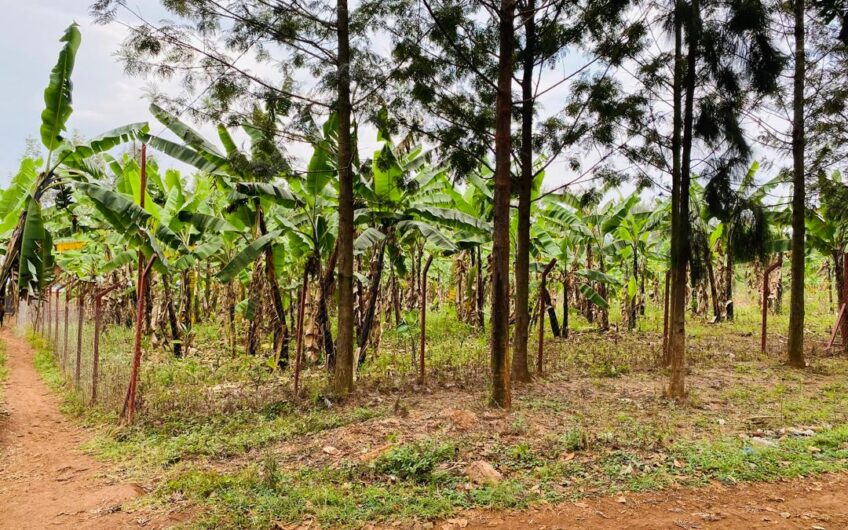MUYUMBU PLOT FOR SALE