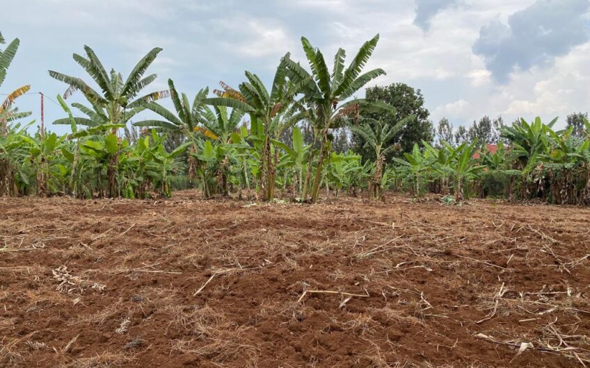 MUYUMBU BIG LAND FOR SALE