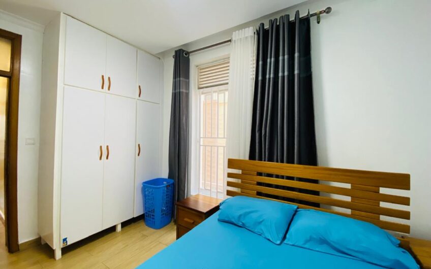 Gisozi Nice Apartment for Rent