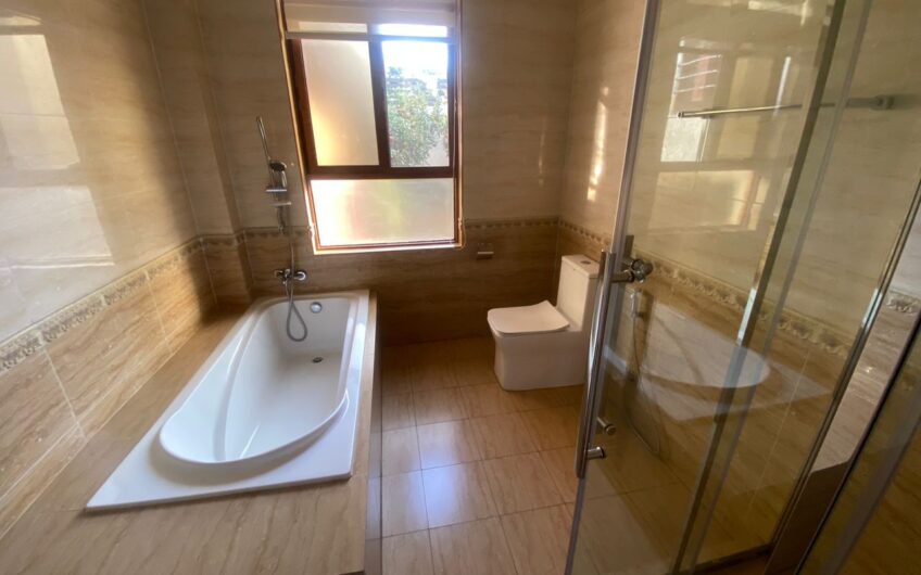 Nyarutarama Modern Apartment  for Rent