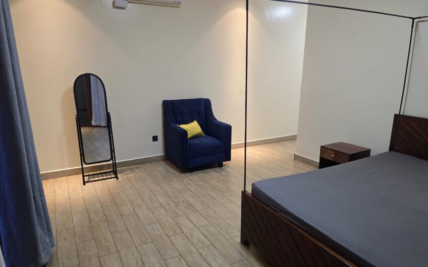 Nyarutarama Modern Apartment  for Rent