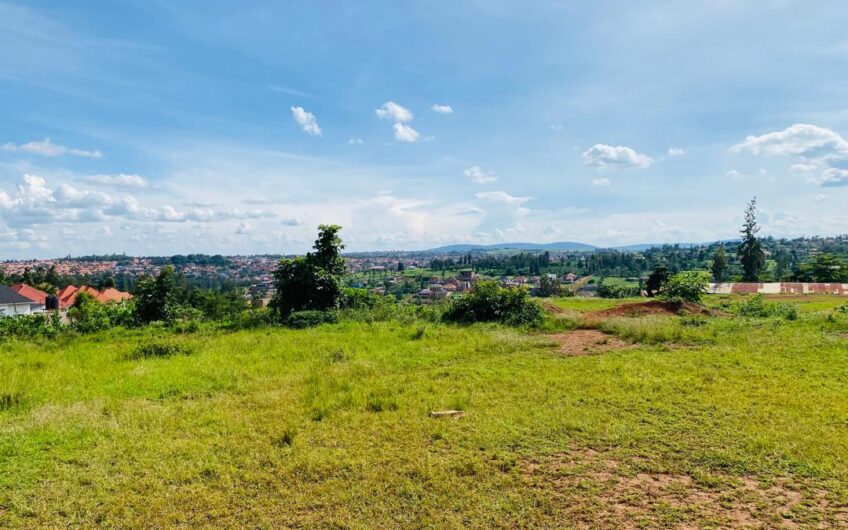 Property draft