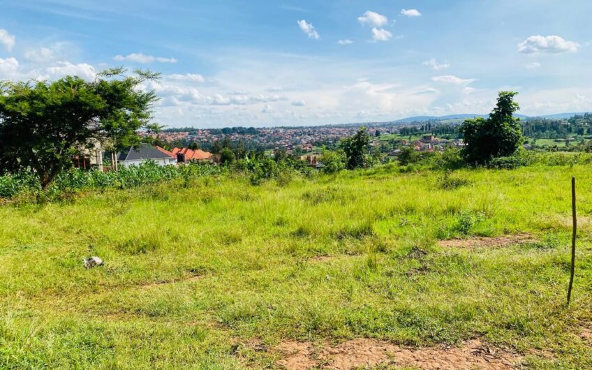 Property draft