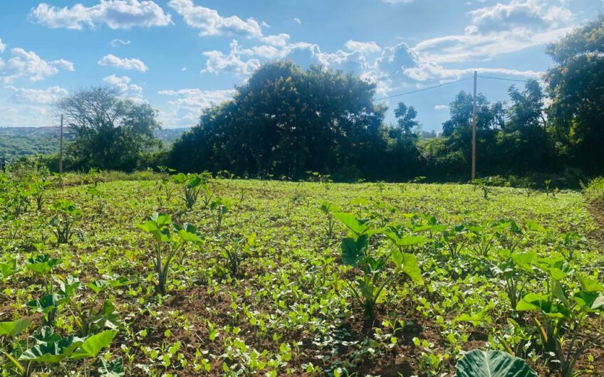 Kanombe Residential Land for Sale