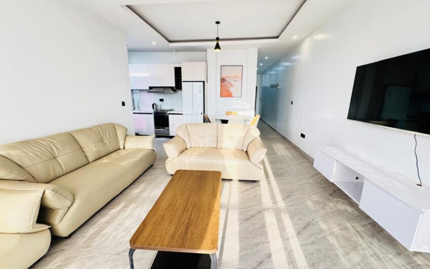 FULLY FURNISHED APARTMENTS FOR RENT – GISOZI