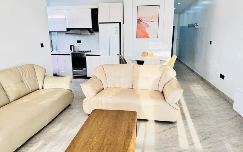 FULLY FURNISHED APARTMENTS FOR RENT – GISOZI